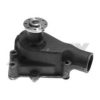 IH 601816C92 Water Pump